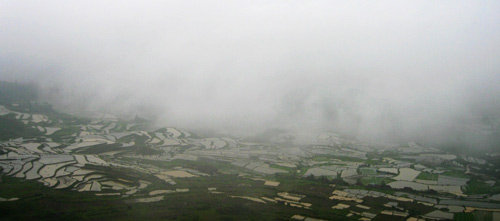 惠水摆榜梯田