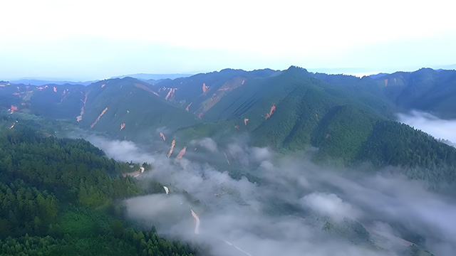锦屏人工造林习俗