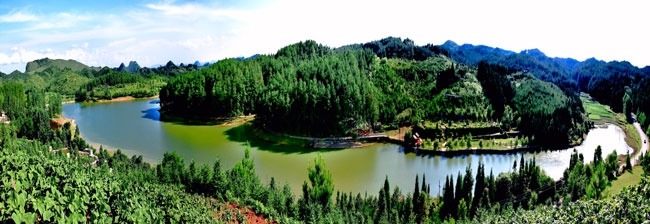 安顺九龙山森林公园