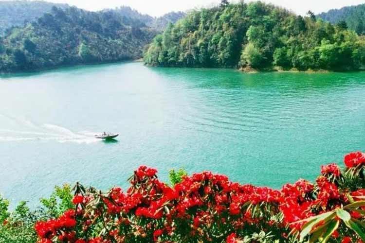长顺杜鹃湖景区