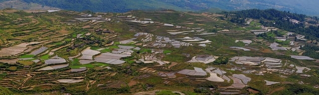 惠水摆榜梯田