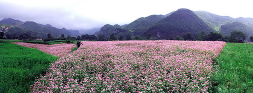 开阳十里画廊