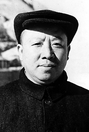 王若飞