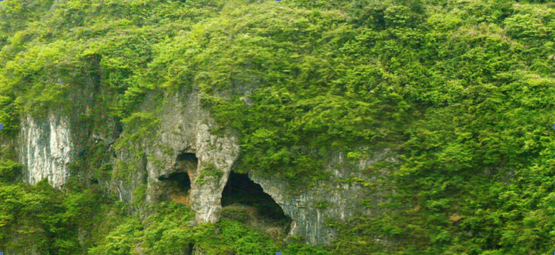 万山云南洞