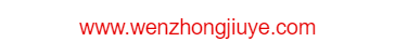 贵州省仁怀市茅台镇文中酒业有限公司的网址域名