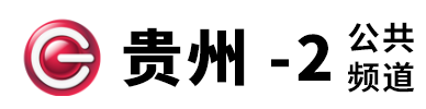 贵州公共频道的网址域名