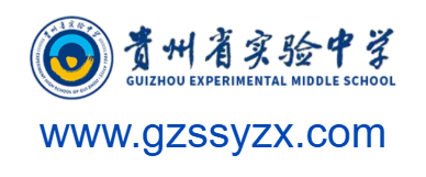 贵州省实验中学的网址域名