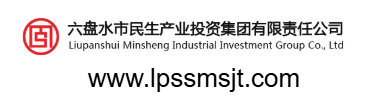 六盘水市民生产业投资集团有限责任公司的网址域名