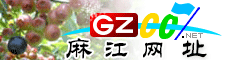 麻江网址大全