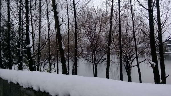 2月18日贵阳下大雪了
