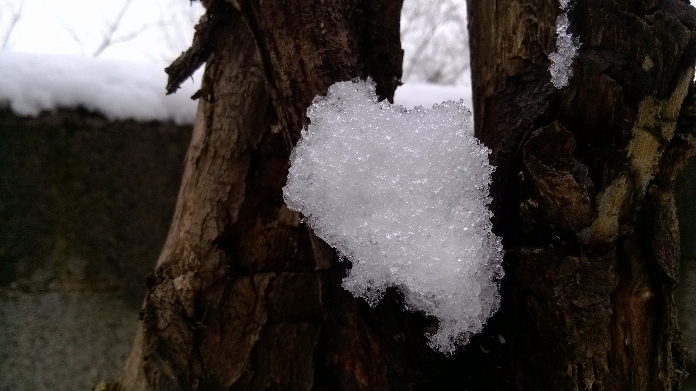 2月18日贵阳下大雪了