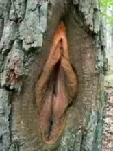 йʮľ